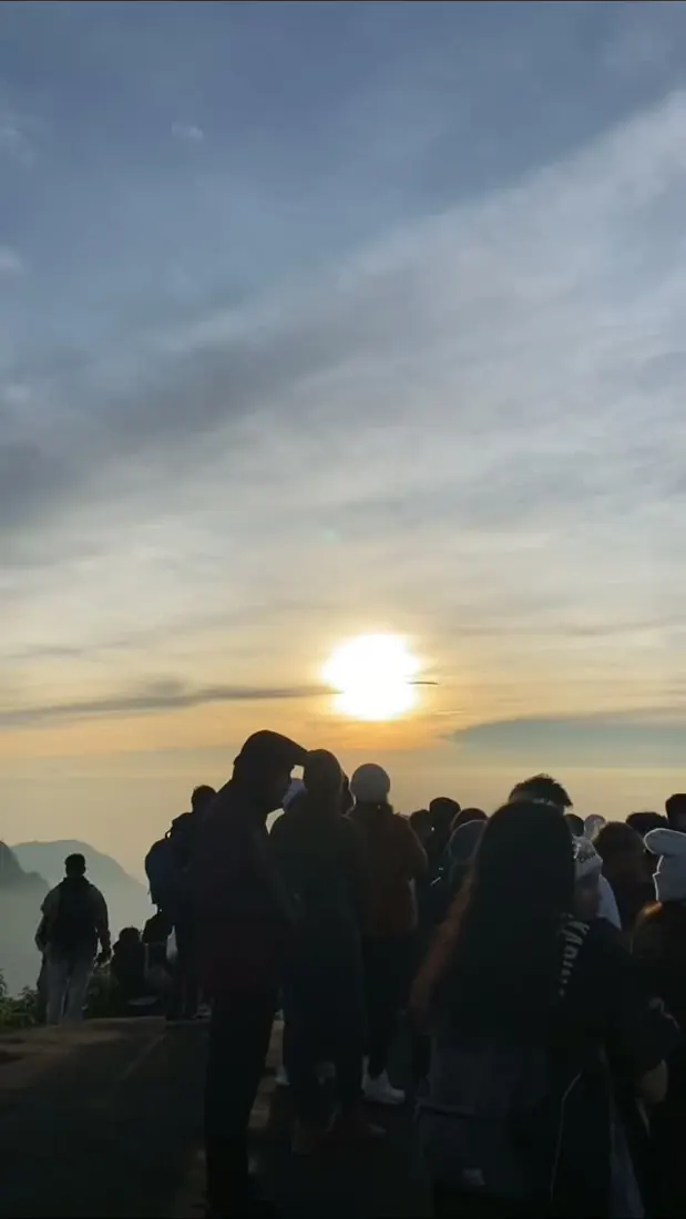 Jalan menuju kawasan Bromo di antara pepohonan